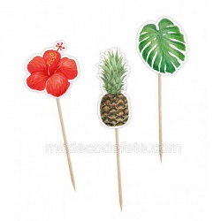 Pics cocktails tropicaux x 12