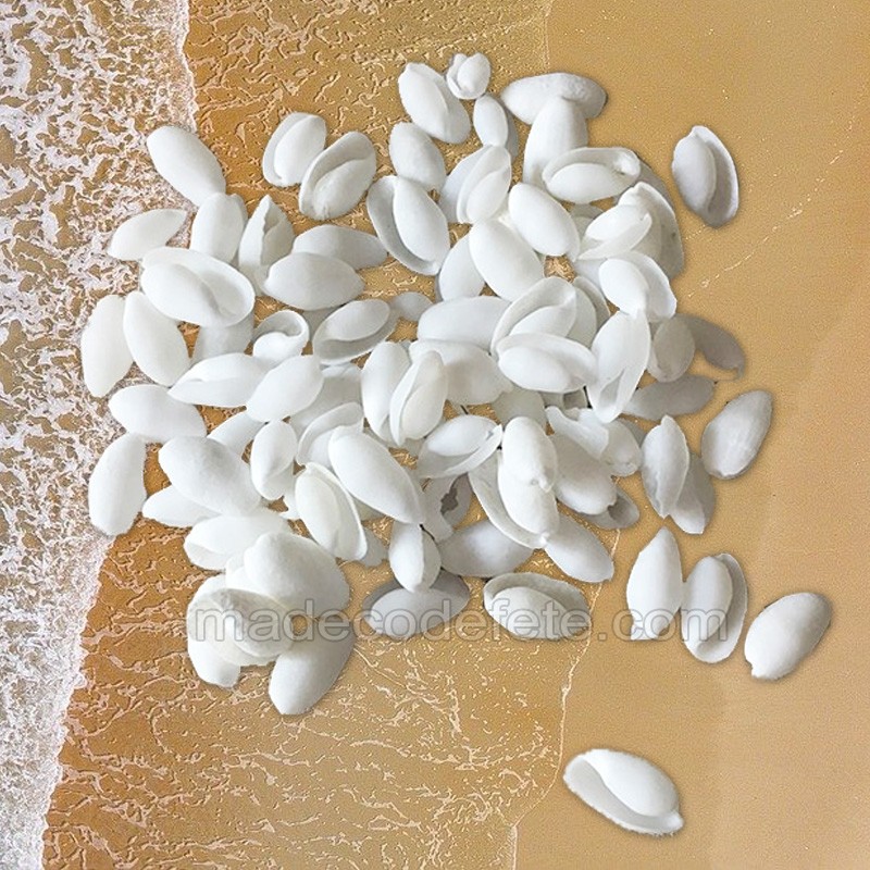 Coquillages Blancs En Sachet De 100 G Coquillages Blancs En Sachet De 100 G