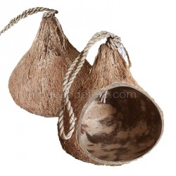 Noix de coco avec cordelette