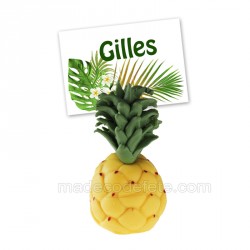 Ananas porte-nom