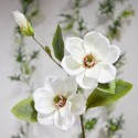 Tige déco deux fleurs magnolia