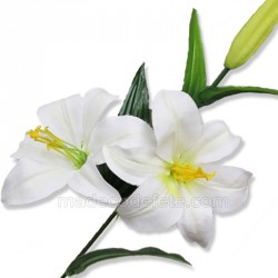 Branche deux fleurs lys blancs