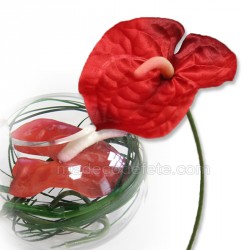 Fleur anthurium rouge