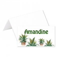 Porte-noms ananas tropical (x24)