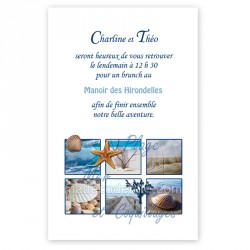 Carton repas mer, plage et coquillages