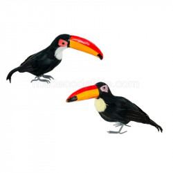 Toucan oiseau tropical