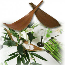 Barque coco mod.A
