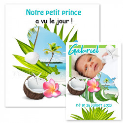 faire-part naissance martinique