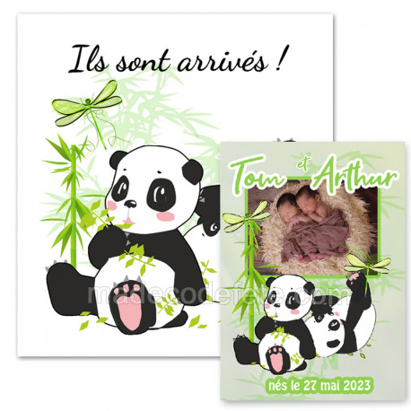 faire-part naissance pandas jumeaux