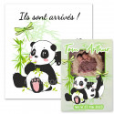 Faire-part naissance pandas jumeaux