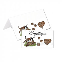 Porte-nom chats coussin (lot de 24)