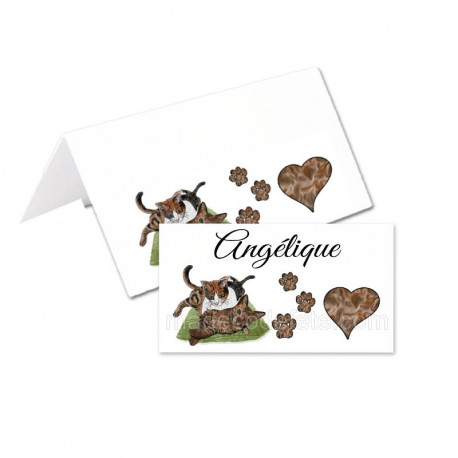 Porte-nom chats coussin (lot de 24)