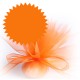 10 tulles dragées orange