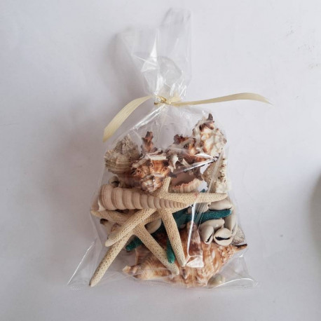 Sachets de Coquillages divers