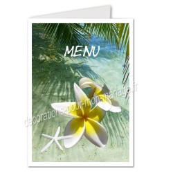 menu thème Polynésie