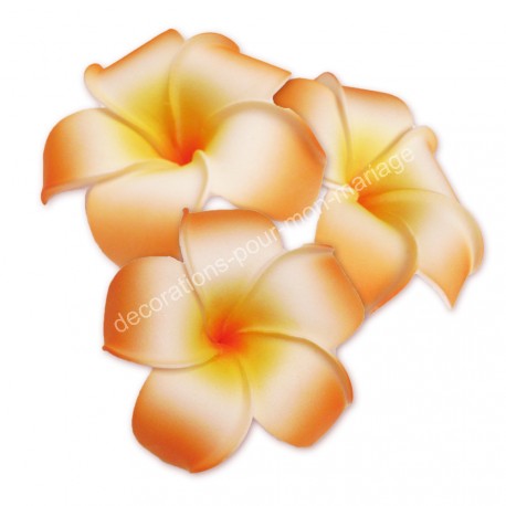 Fleur Exotique Orange