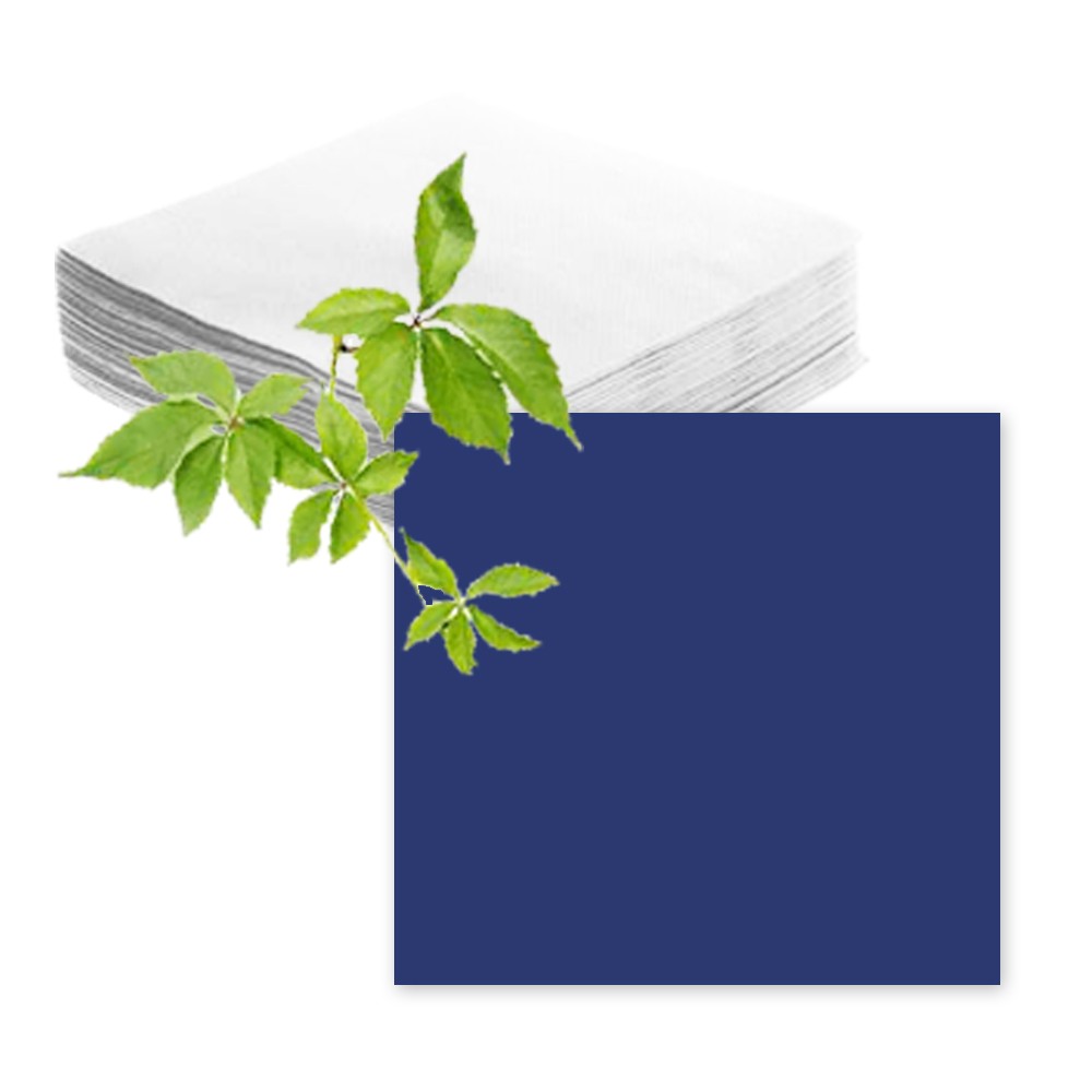Paper Products Design Lot de Serviettes en Papier Motif Floral Bleu