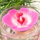 Bougie orchidée rose fuchsia x1 