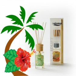 Parfum d'ambiance Brazil Passion