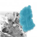 20 plumes décorations turquoise